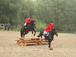 IMG_1493_web
